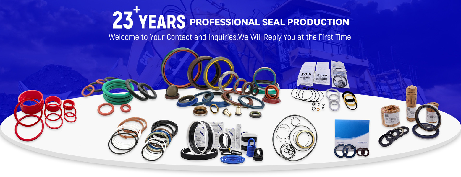 Karet Oil Seal